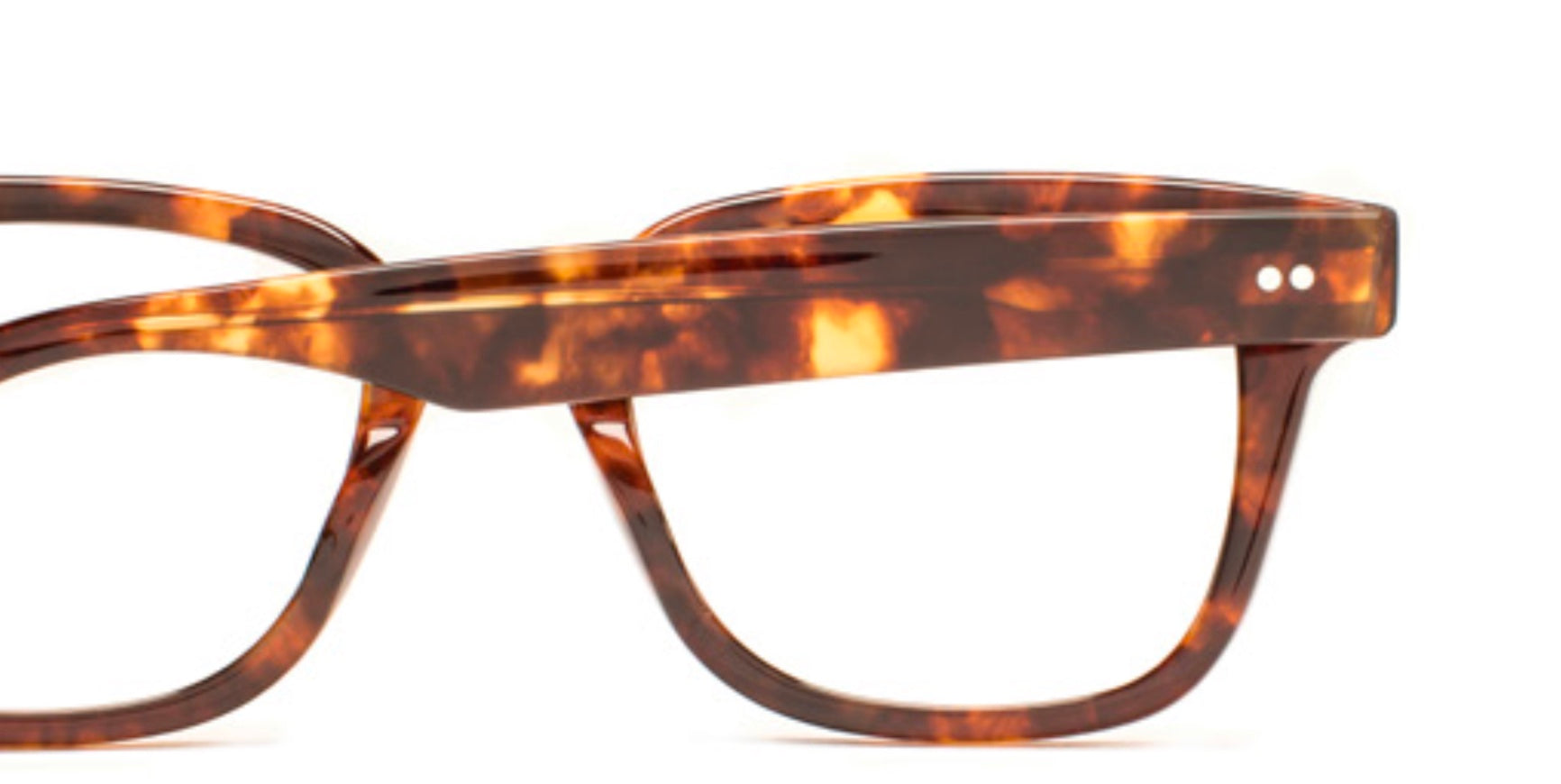 SALT. Trunk Show – Specs Optometry